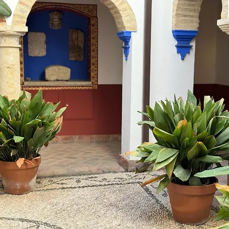 Casa Patio Corduba *